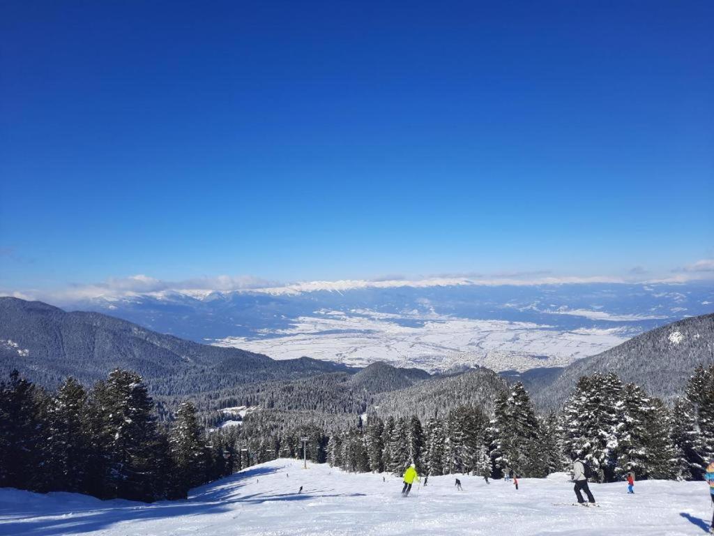 Apartments In Aspen Suites Бансько Номер фото